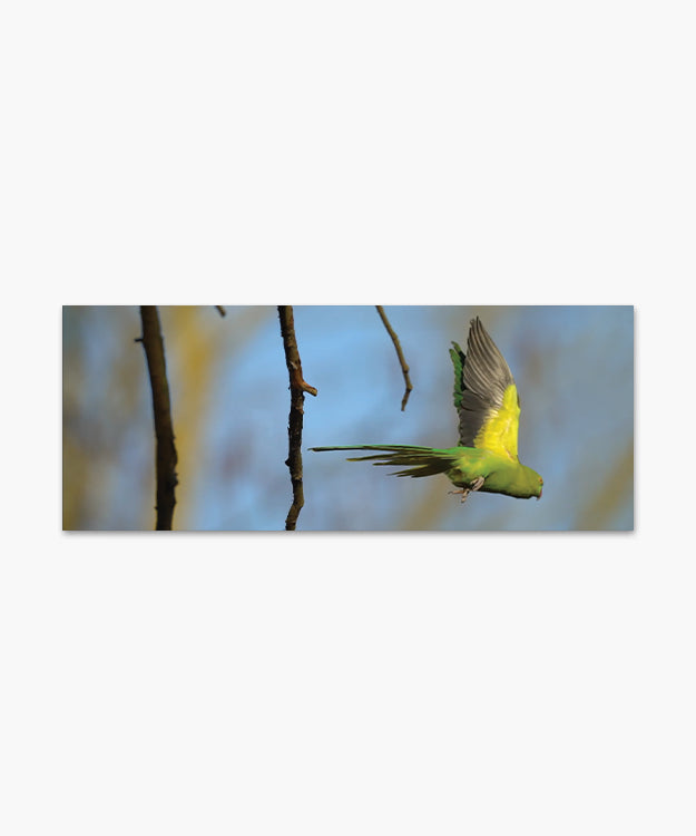 Load image into Gallery viewer, 30 Prints for Palestine

