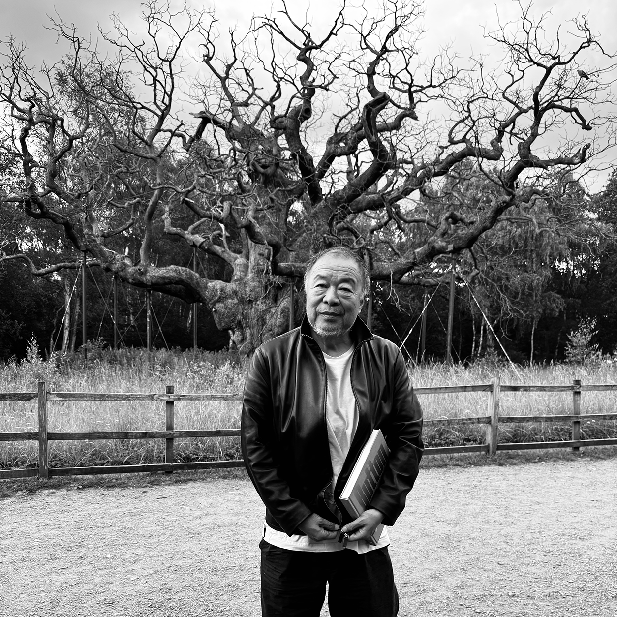 Load image into Gallery viewer, Ai Weiwei
