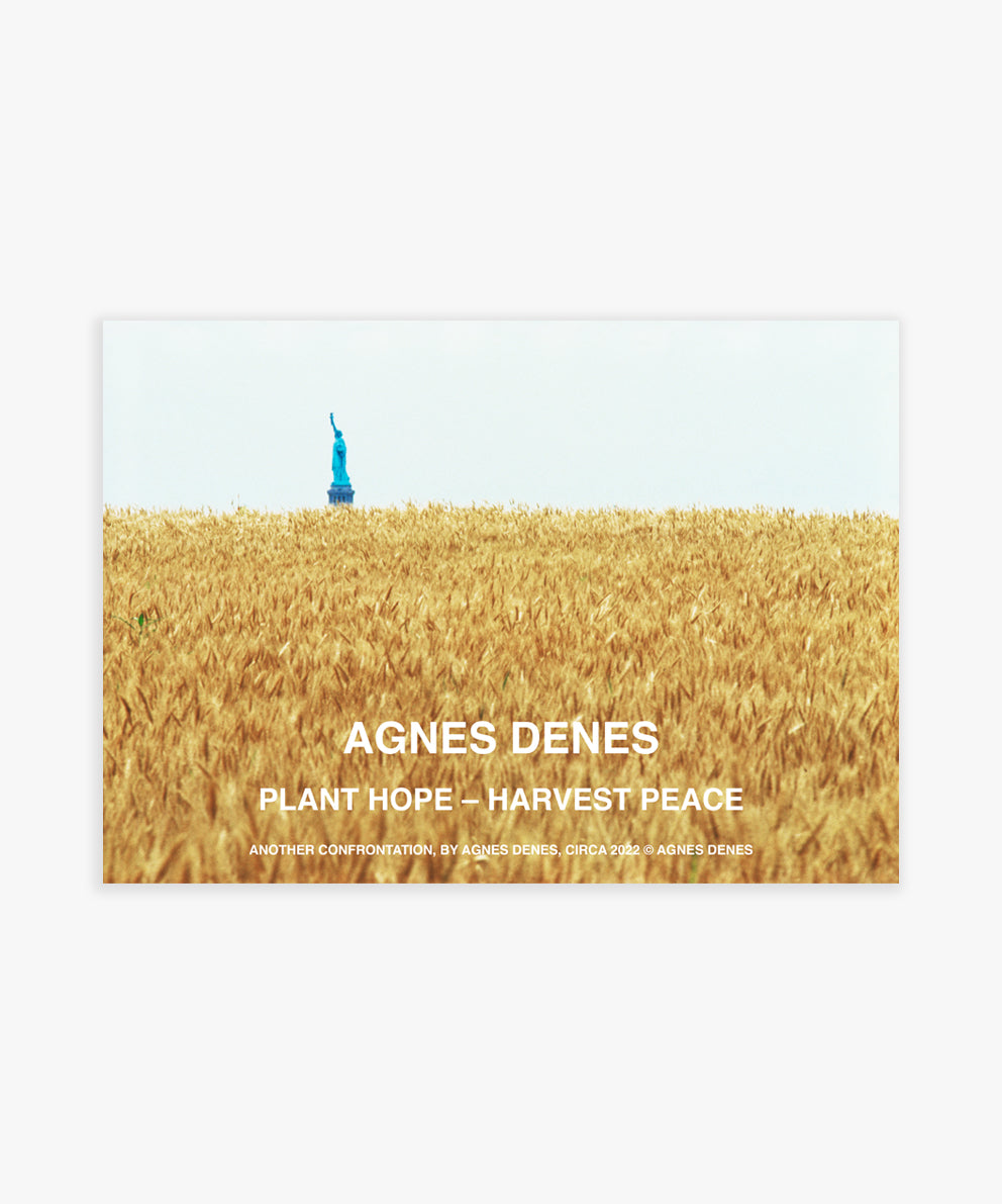 Load image into Gallery viewer, Agnes Denes I
